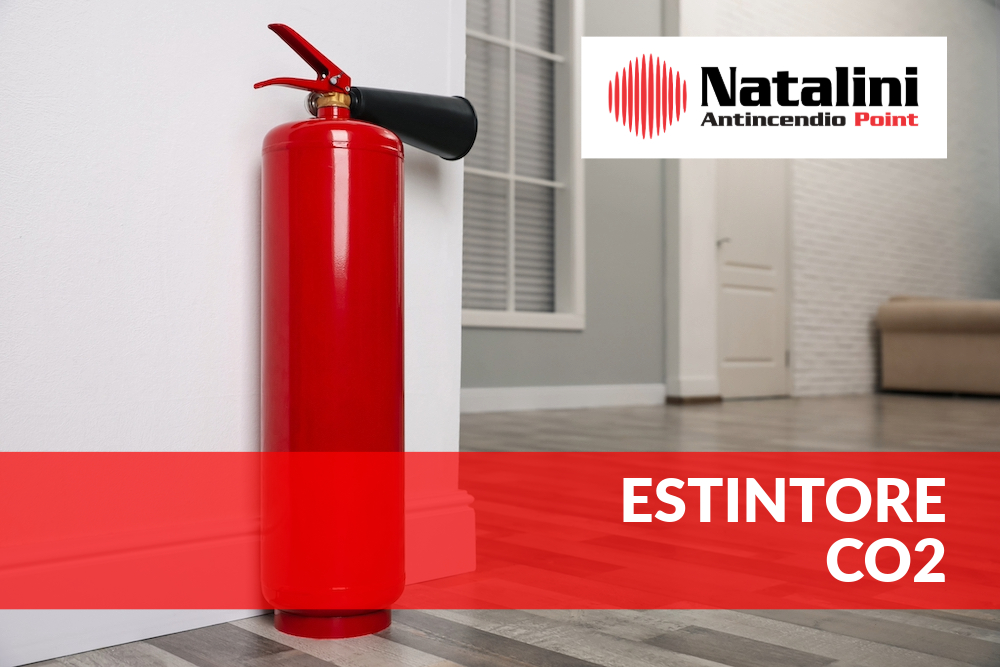 manutenzione antincendio estintore co2